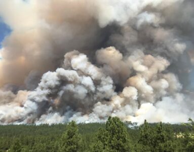 Lawsuit Seeks Information on Forest Service Burn Plans